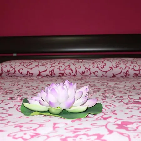 Bed & Breakfast Aracoeli Roma
